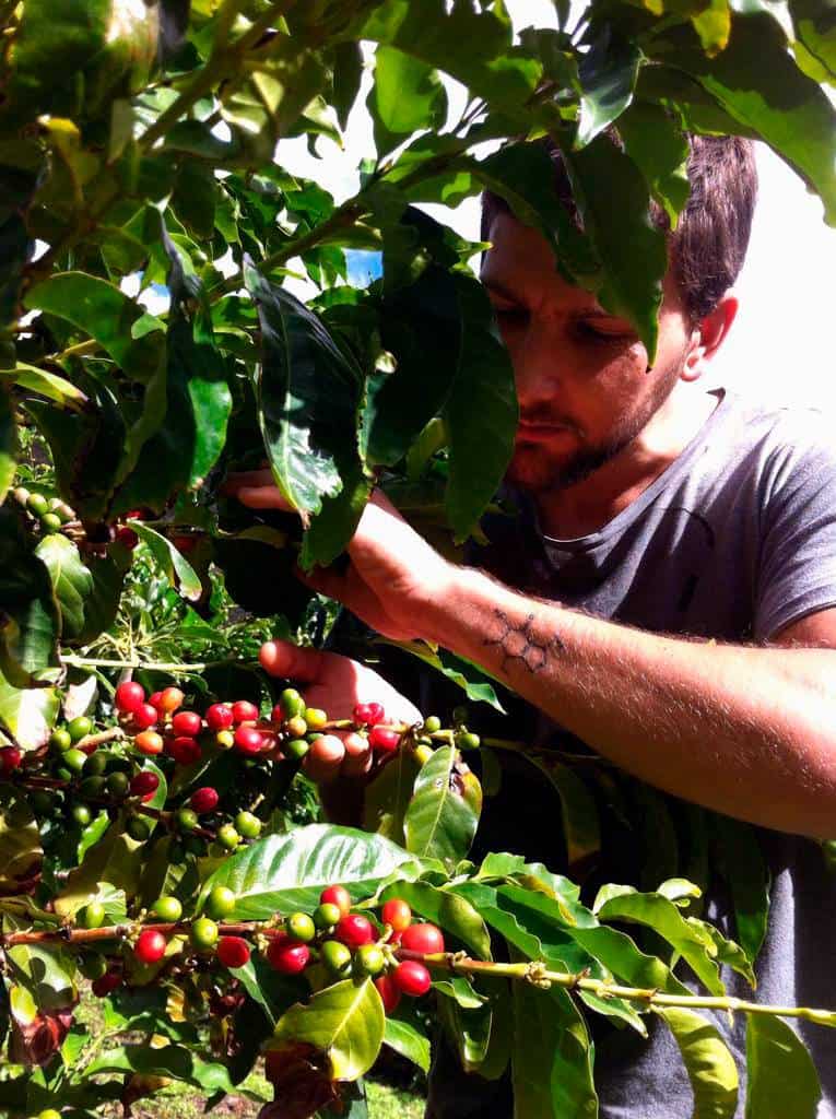 zeris-coffee-roaster-nuestros-valores